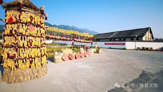秋养冬藏看黟川—初秋游黟县，这份接地气的养生攻略请收好 | 皖美夏日