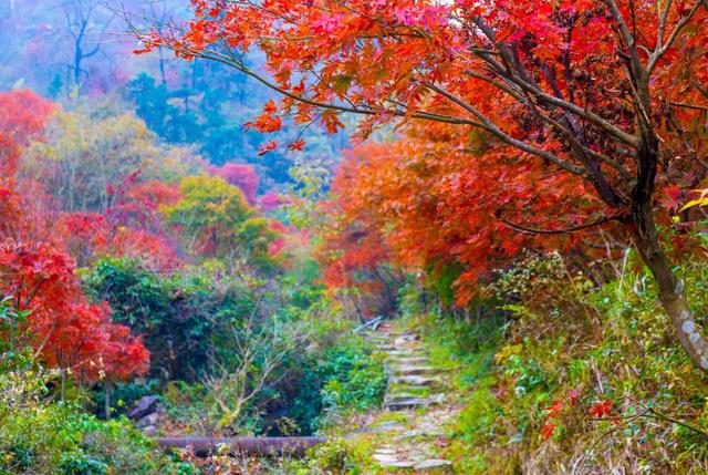 宁波四明山，成了“油画”