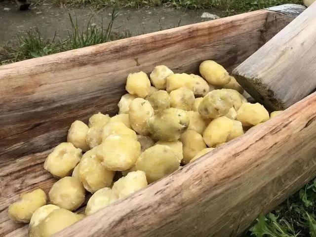 武都冬日之约：美食暖胃，美景暖心