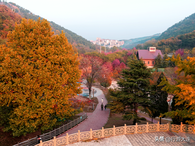 秋色有多惊喜？来白云雁水走一走~