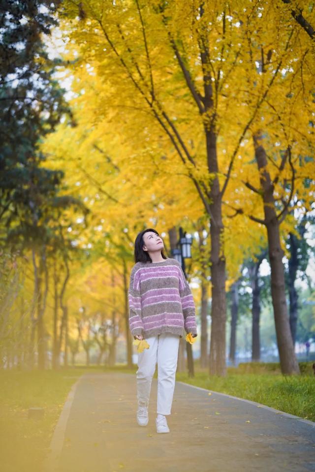 全龄友好，四季皆景！皇城根遗址公园焕新升级，超多美图→