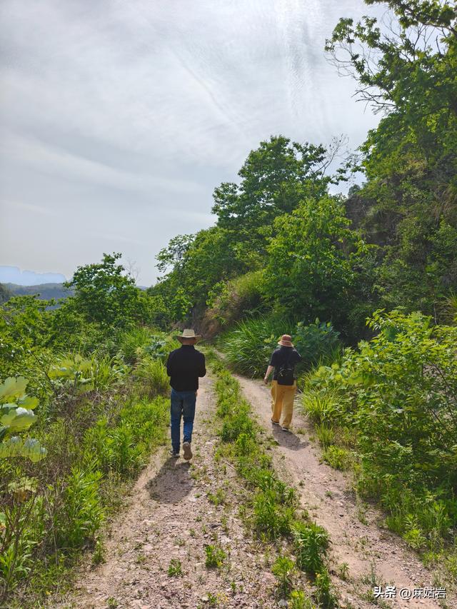 仙居县岩峰下村，一个消失的自然村，一片美丽的风景线