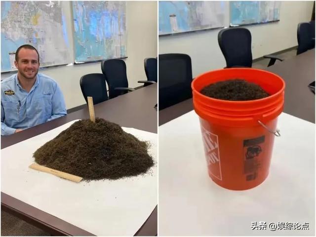 35张过去vs现在的对比照：真是不比不知道，一比吓一跳