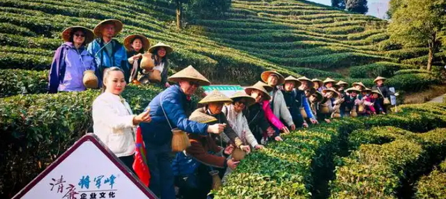 本地特色与茶旅融合