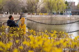 变？变！变啦……这几个春日出片好去处谁能拒绝？图片