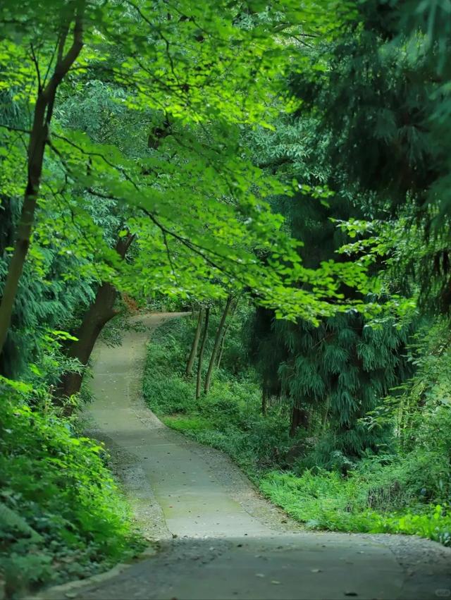 成都1.5h闯进免费"小九寨"，耍水露营钓鱼徒步，遛娃避暑N刷地！