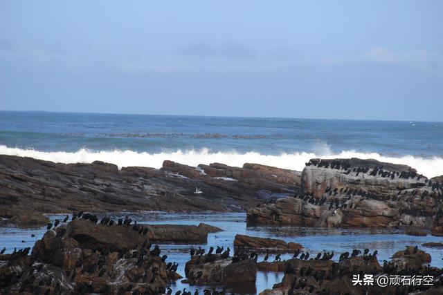 南部非洲：南非好旺角