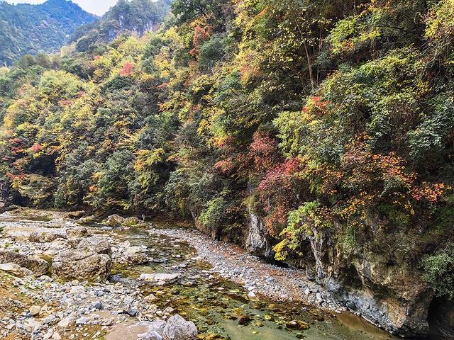 2024深秋四川行19 神农架风景区2 华中屋脊的五彩秘境