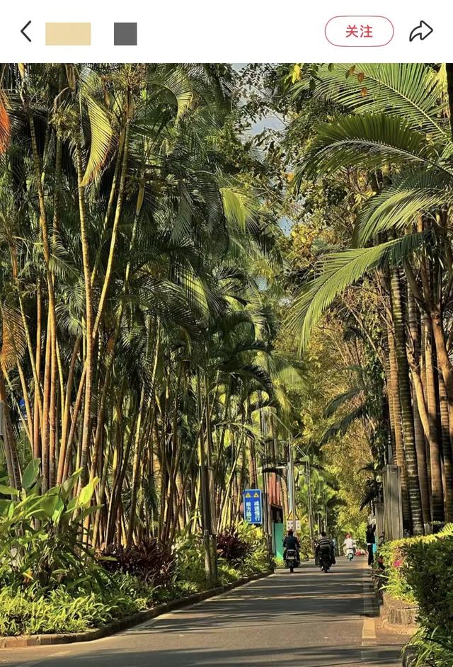 这可能是我买过的最离谱的特产: