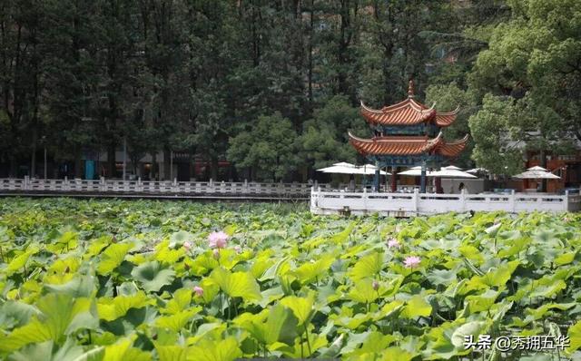 解锁新玩法！超全线路带你打卡22℃的翠湖