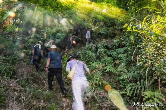 远离人潮，步入乾龙湖最原始的自然样本