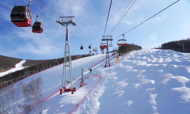 博雅视野 | 客源、目的地、产业链三重奏，激活冰雪旅游市场新态势