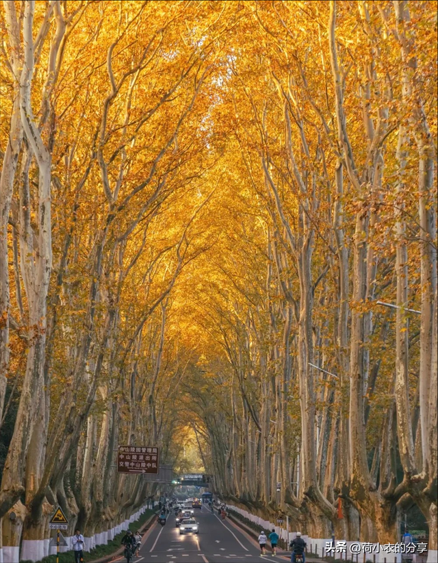 南京，来一百次，也不会腻的城市