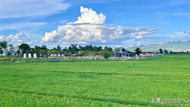 来稻田公园，赴一场与自然的温柔邂逅