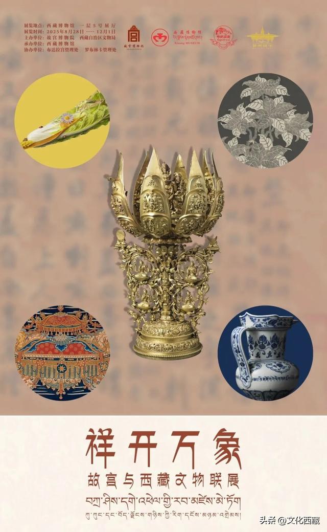 限时展出！西藏博物馆这3大展览不要错过！好玩到尖叫！