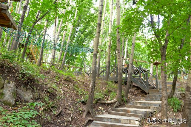 河北百草畔（上）：风动孤石悬险韵，蚁巡深岭蕴生机