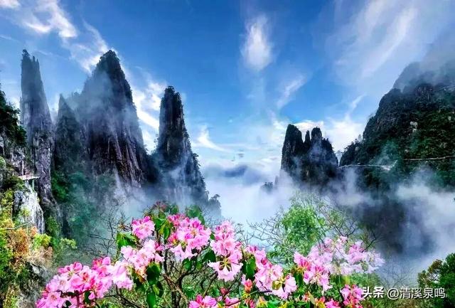 云端之旅——莽山五指峰游记
