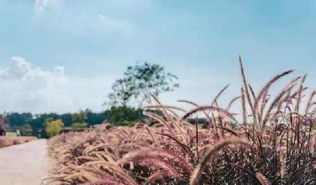 白羊座“一波未平一波又起”，12月底即将有“闹心”事出现！