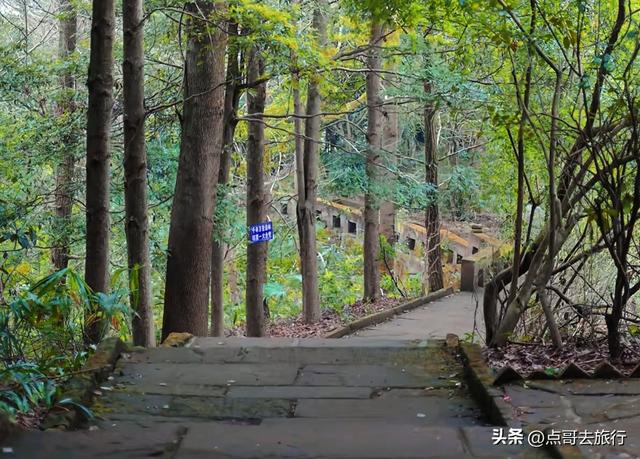 成都龙泉森林徒步路线，被严重低估，不要门票，拍照超级出片！
