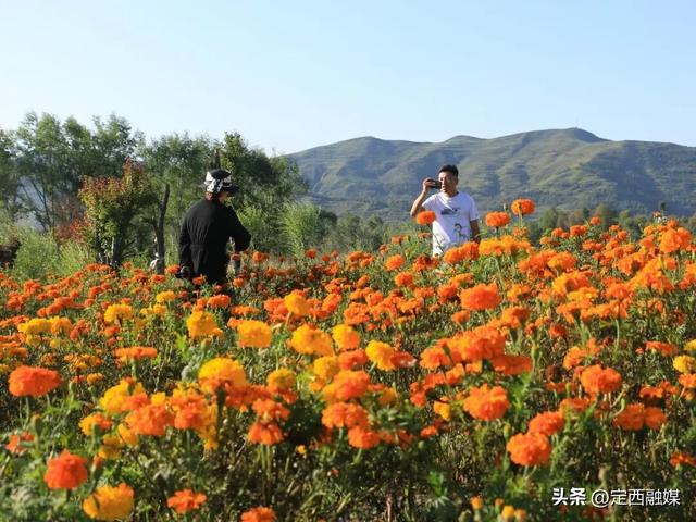 岷县：牧马滩秋日百花争艳引客来