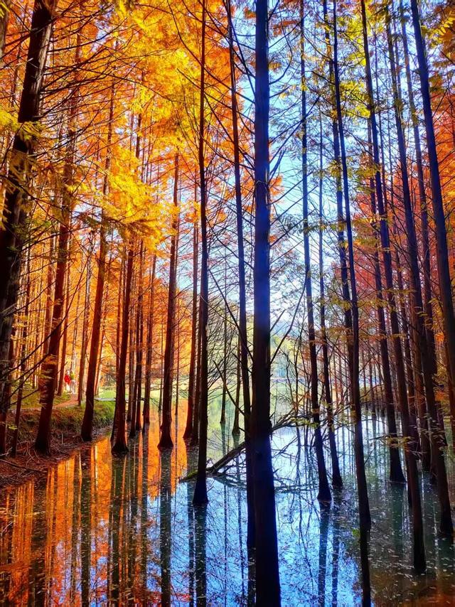 杉 杉 来 了 🤗🧣🧡