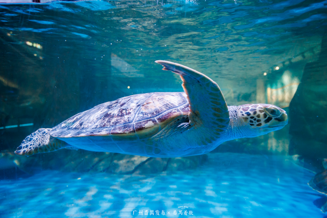 刷爆番禺人朋友圈的新地标，18000㎡的空间究竟藏着什么？