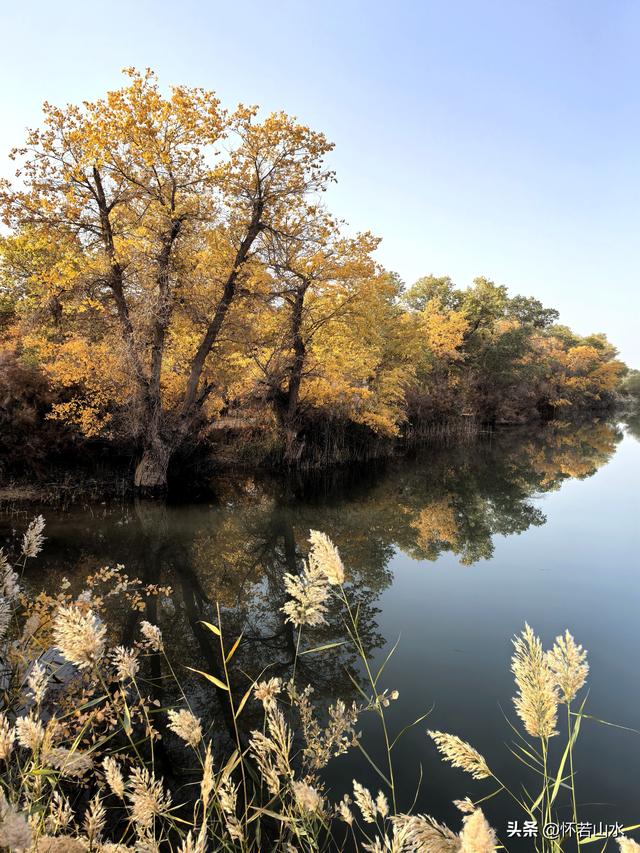 2025环南疆沙漠铁路背包自由行日记(6)---游览巴楚红海胡杨林景区