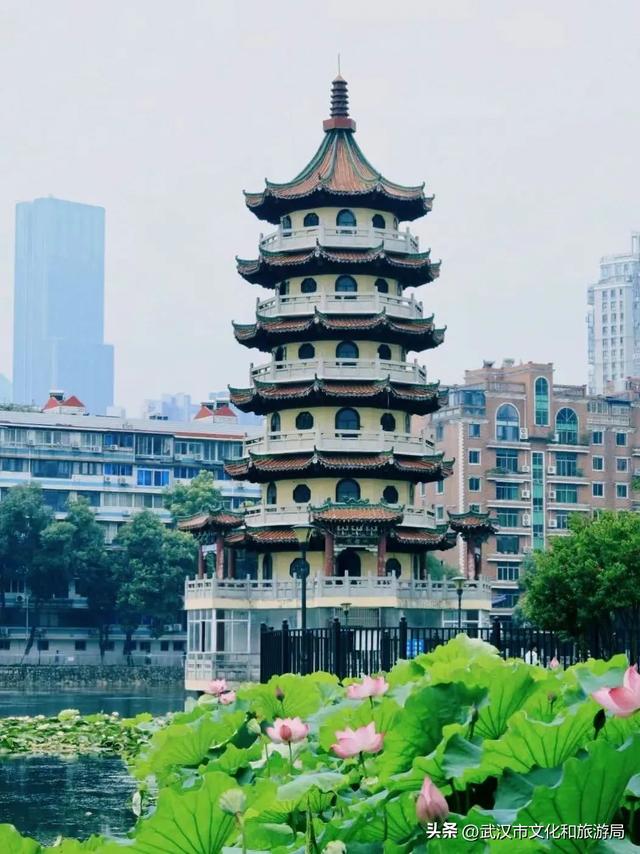 武汉荷花已到盛花期！5处赏荷地，地铁直达