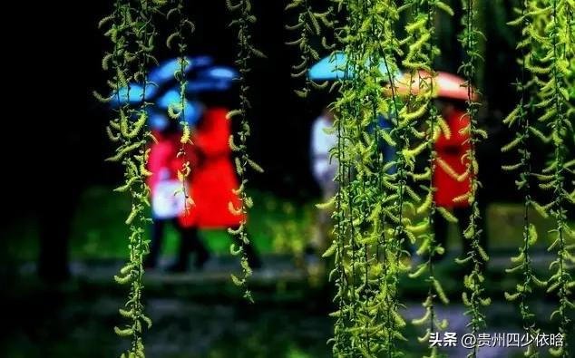 相思泪落十六拍