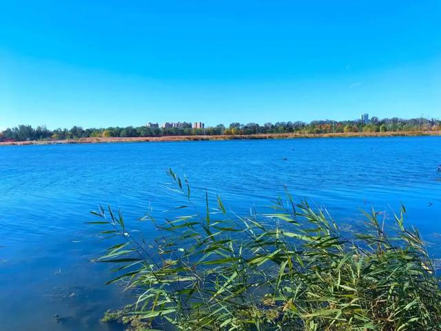 人少景美！丰台这些“秋季限定”进入倒计时！