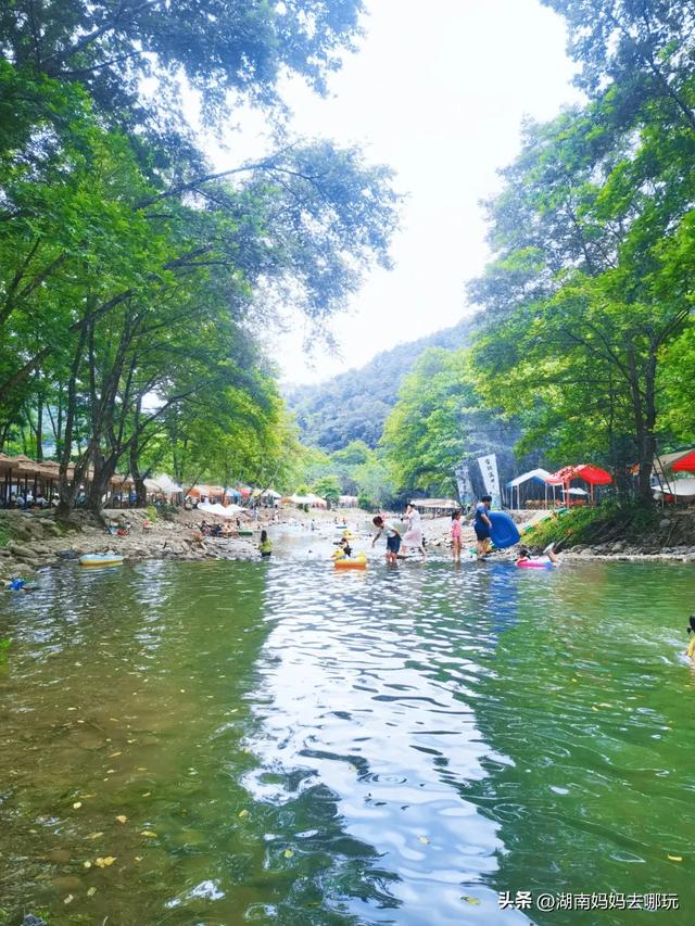 告别36℃热浪！长沙“小荔波”藏着28℃清凉，带娃溯溪玩不停！