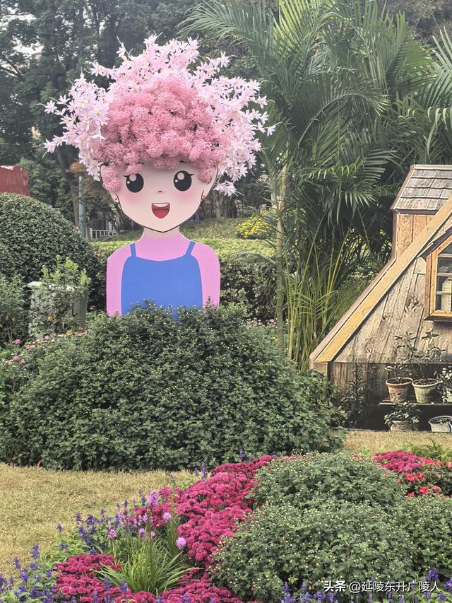 武进新天地公园菊花展 乡村田园风 今年又不同