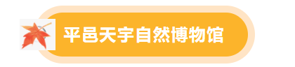 临沂景区福利宠粉，“天赋一‘饼’”临沂主场美食PK来啦