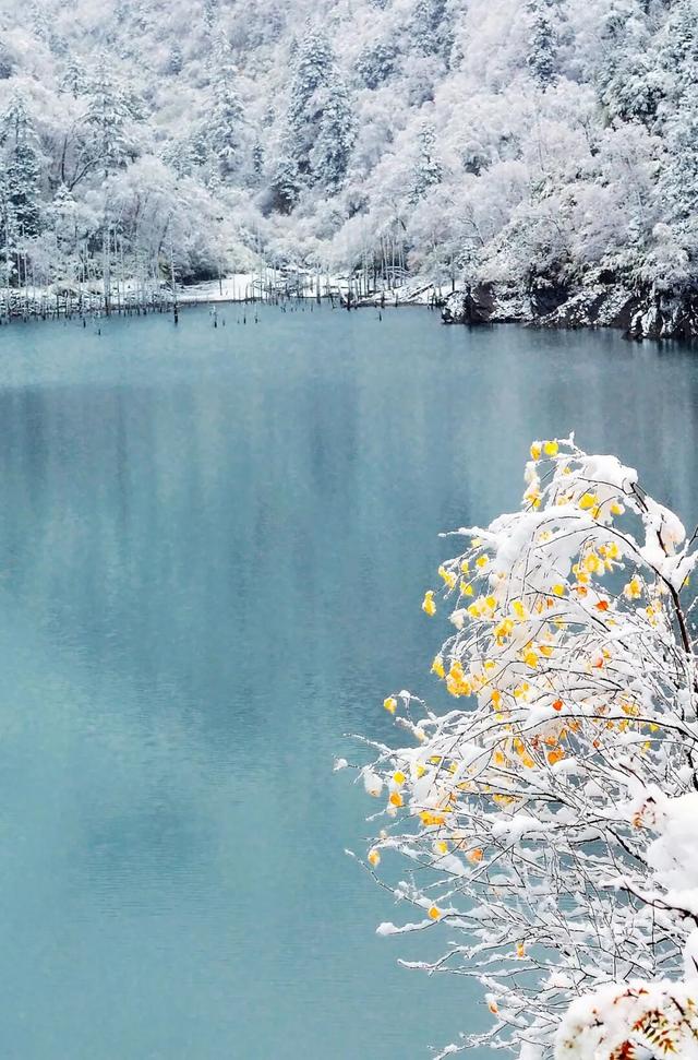 松坪沟景区免门票啦！