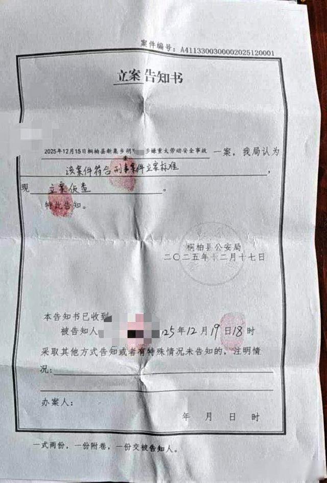 桐柏山林现命案，违规作业引争议，真相深藏迷雾中