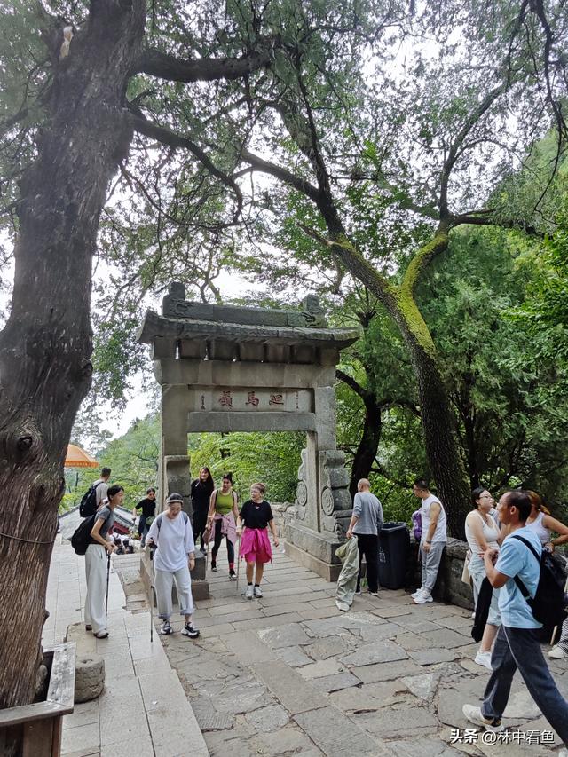 徒步登泰山之一——3小时从一天门到中天门