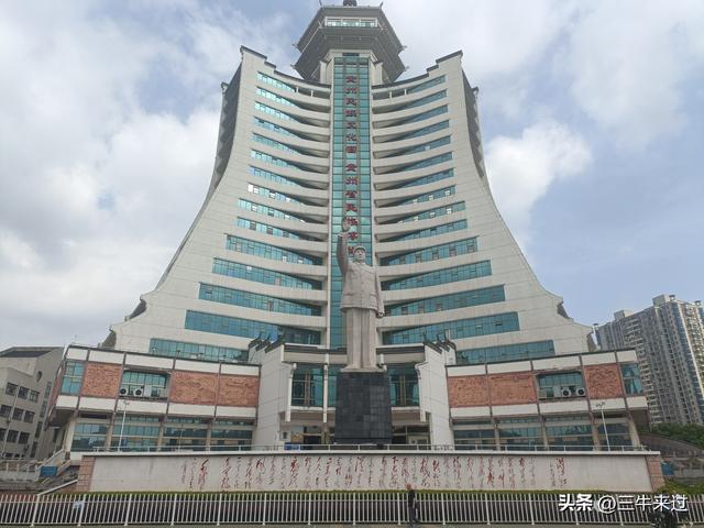 无为在歧路，2025之经行