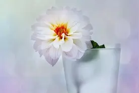 男人彻底放弃一个女人，有这三个表现，很现实！图片