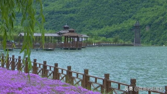 避暑胜地·康养宕昌｜娥嫚引我入青绿，共赏官鹅盛夏私语