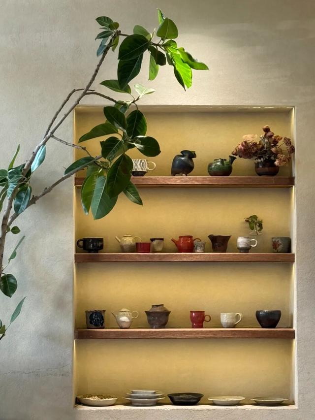 10月	，「需要另一个同类」