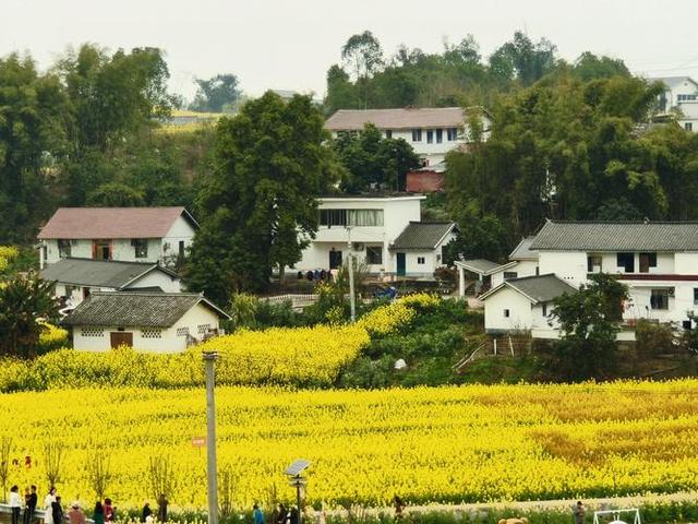 [四川 自贡市沿滩区]