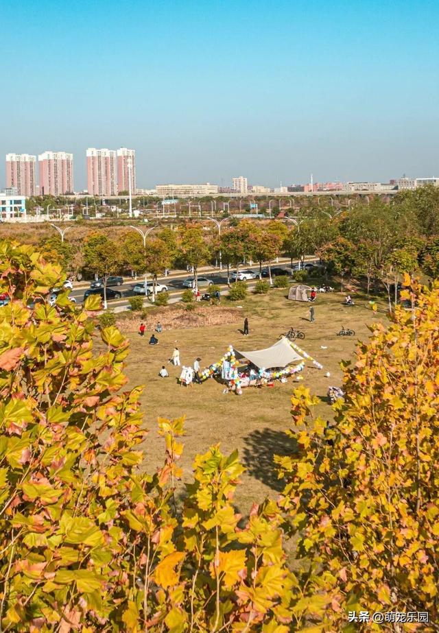 清晨金银湖薄雾散开，径河公园帐篷如花朵，常青花园邻里情浓厚