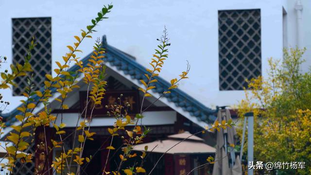 深秋棚花村：绵竹山间的秋色画卷