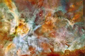 通过全面改革法案：反改革的既得利益团体把广场变战场图片