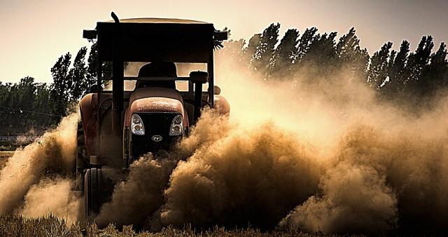 齐鲁红妆赴天山 屯垦戍边铸丰碑——1952年山东女兵支援新疆纪实