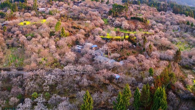 腾冲2026年度文旅活动主题发布，月月有惊喜！