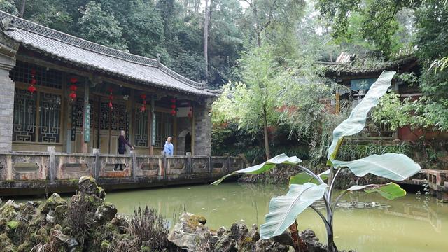 明代白龙寺，徐霞客到此一游，百年茶花，白龙盘锯而成潭