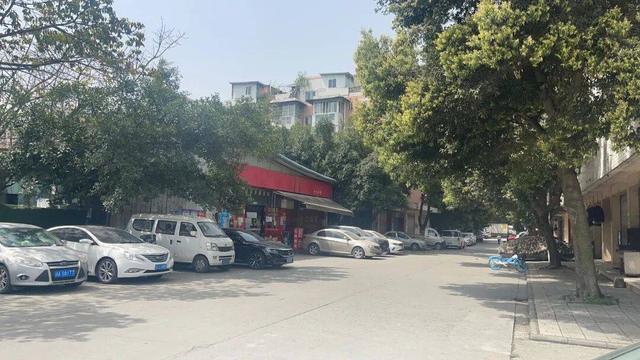 【改革奋进】蛟起龙腾 青羊遗韵——聆听青羊的工业旋律与文化脉动