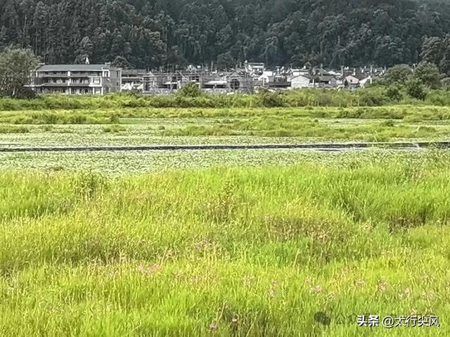 腾冲之肺---北海湿地