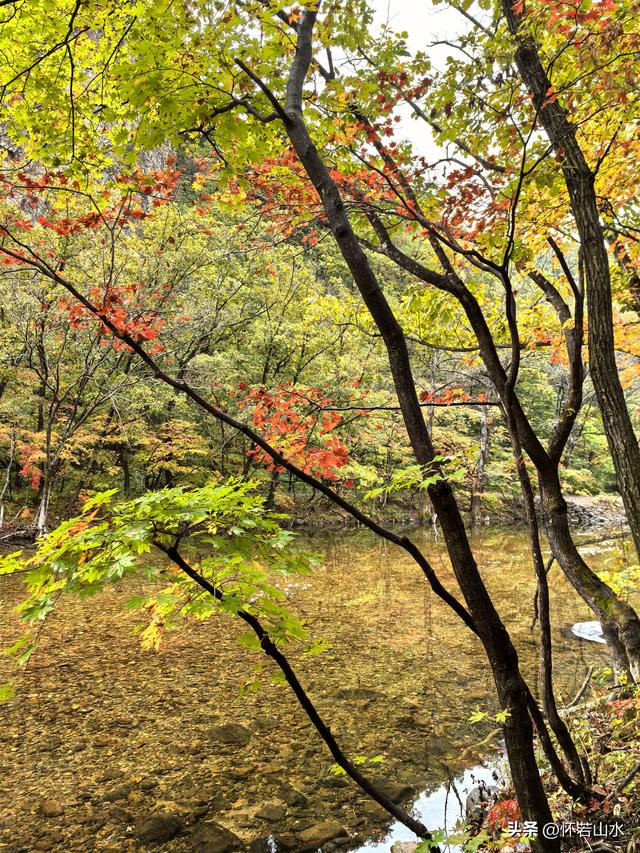 2025辽宁赏秋之旅日记(2)——游览丹东蒲石河森林公园